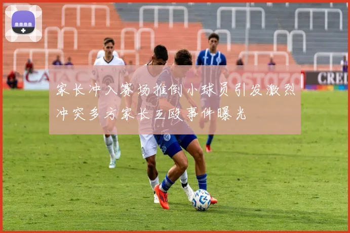 家长冲入赛场推倒小球员引发激烈冲突多方家长互殴事件曝光