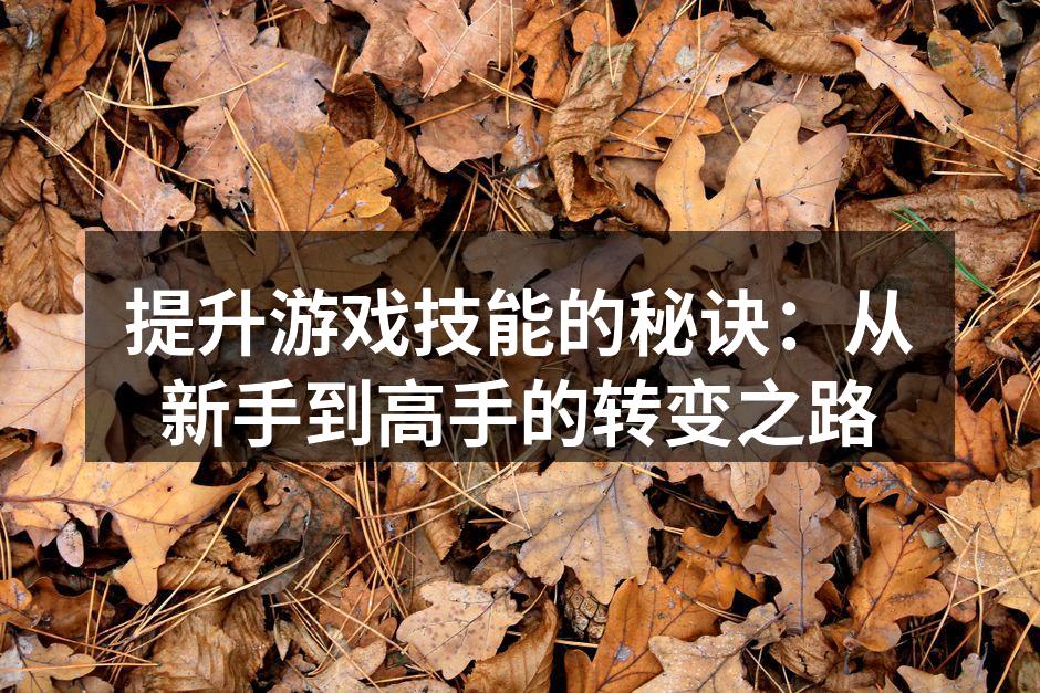 提升游戏技能的秘诀：从新手到高手的转变之