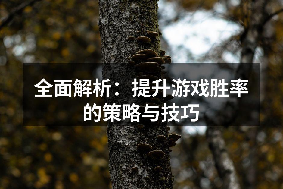 全面解析：提升游戏胜率的策略与技巧